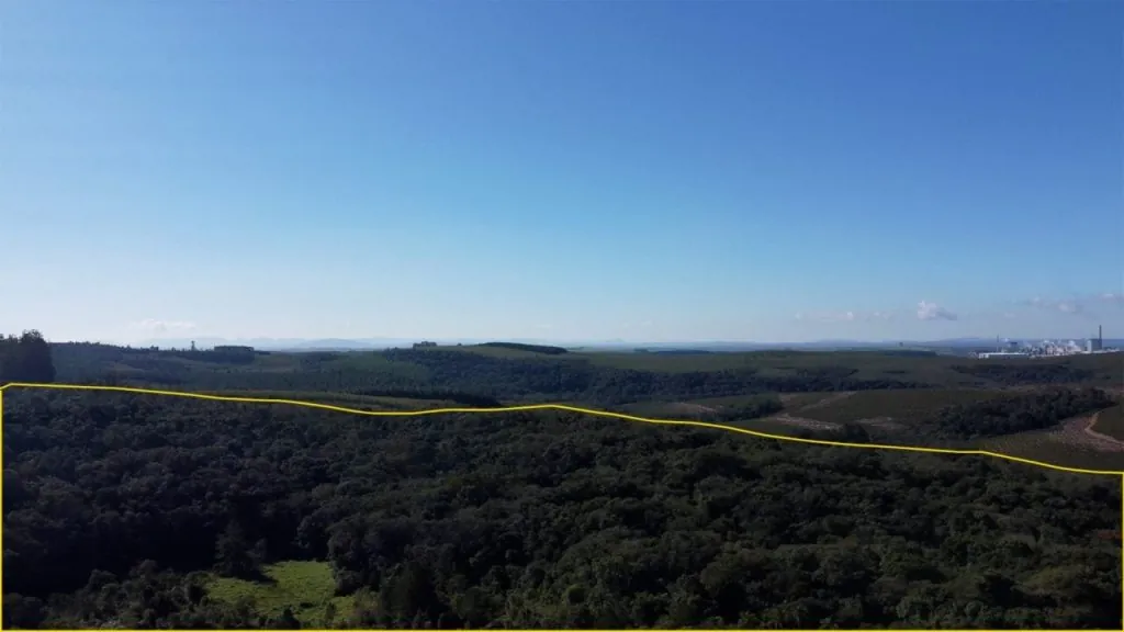 Leilão de sítio em Ortigueira Paraná com 179 hectares de mata, pasto e plantio — Sítio Ozório Igidio disponível na Topo Leilões